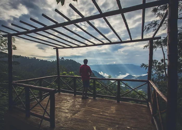 After The Rains - Rainforest Lodge, Wayanad